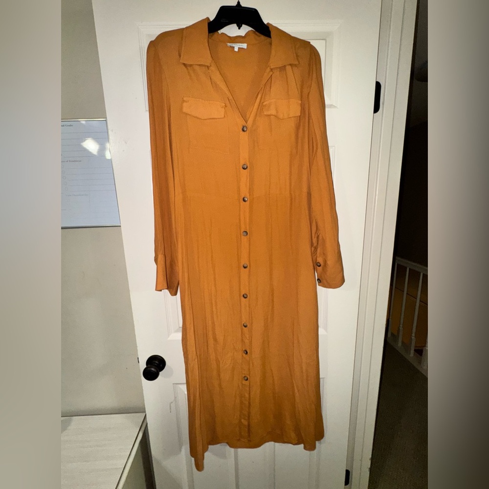 Women's Button-Down Dress in Tan